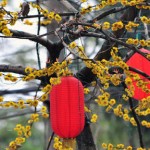 lanterns