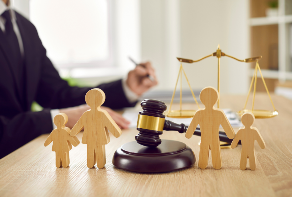 Legal Custody​